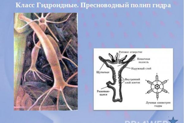 Как попасть на сайт мега мориарти